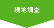 現地調査